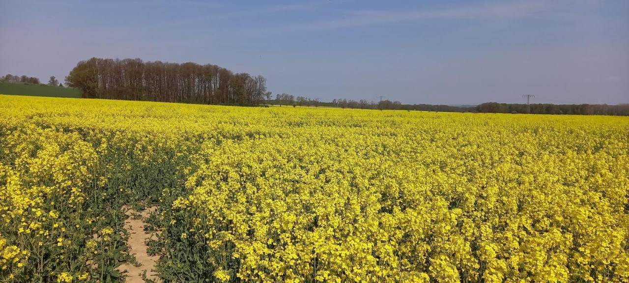 Ferienwohnung Ferienhof mit Bergblick Löbau Exterior foto